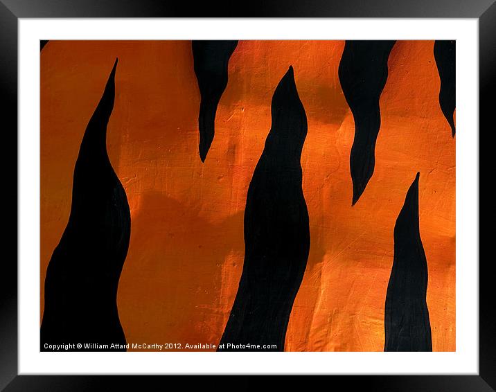 Tiger Stripes Framed Mounted Print by William AttardMcCarthy