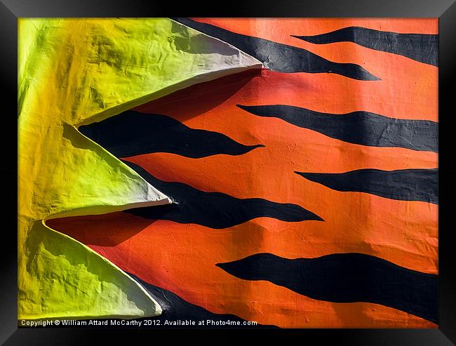 Tiger Stripes Framed Print by William AttardMcCarthy