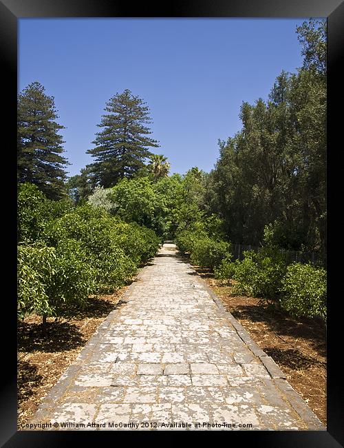 Orchard Pathway Framed Print by William AttardMcCarthy