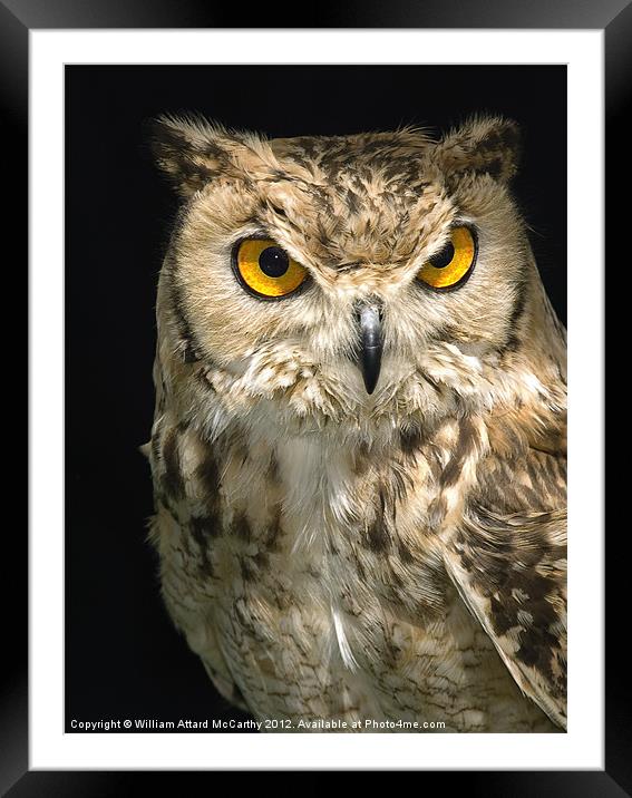 The Owl Framed Mounted Print by William AttardMcCarthy