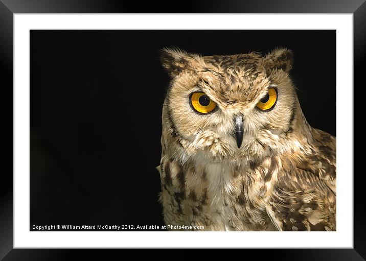 The Owl Framed Mounted Print by William AttardMcCarthy