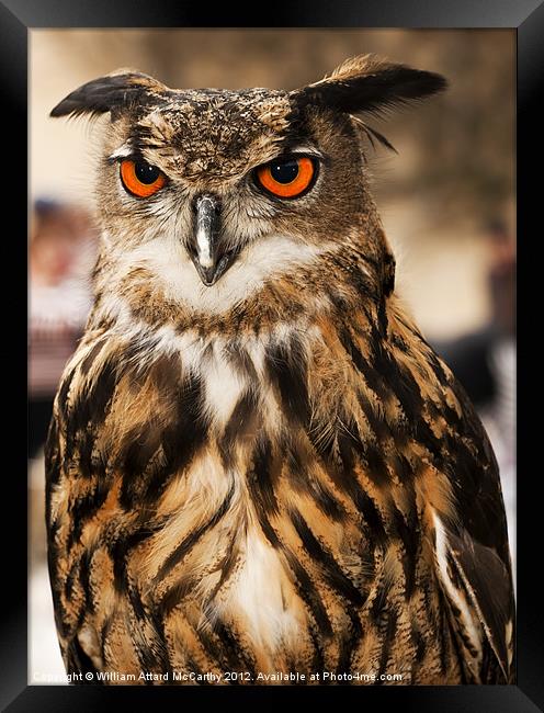 Eagle or Horned Owl Framed Print by William AttardMcCarthy