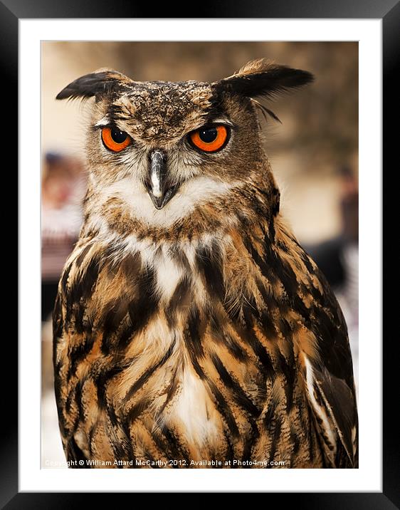 Eagle or Horned Owl Framed Mounted Print by William AttardMcCarthy