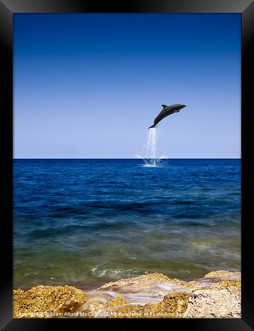 Flight of the Dolphin Framed Print by William AttardMcCarthy