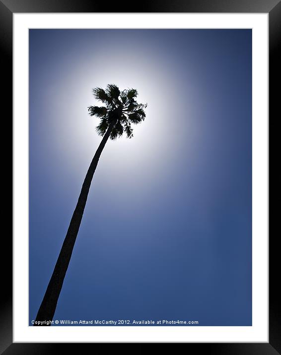 Palm Tree Silhouette Framed Mounted Print by William AttardMcCarthy