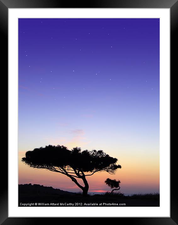 Under The Stars Framed Mounted Print by William AttardMcCarthy