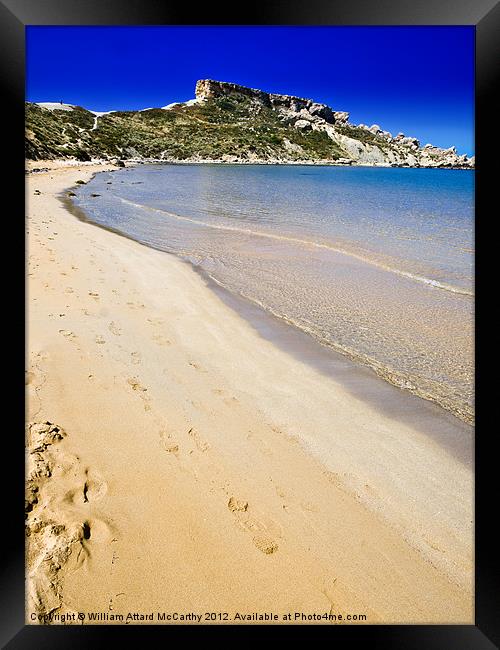 Tropics Framed Print by William AttardMcCarthy