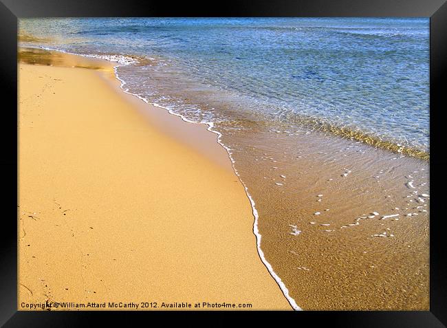 Beach Detail Framed Print by William AttardMcCarthy