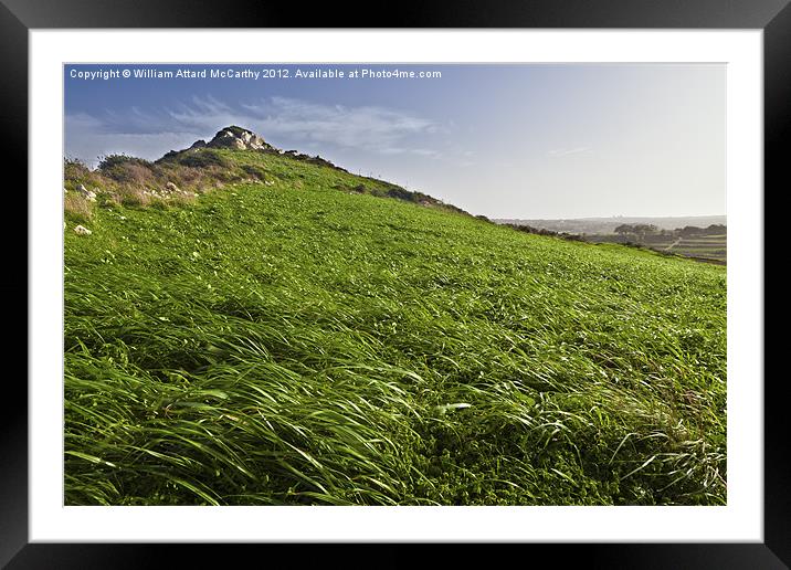 Windswept Framed Mounted Print by William AttardMcCarthy