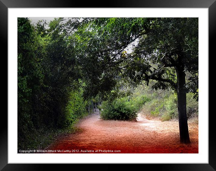 Walk in the Woods Framed Mounted Print by William AttardMcCarthy