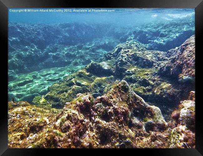 Underwater Valley Framed Print by William AttardMcCarthy