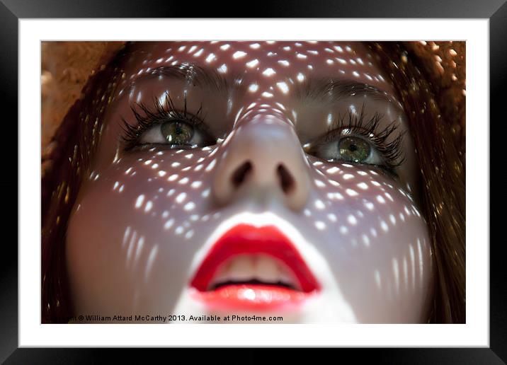 Up Close and Personal Framed Mounted Print by William AttardMcCarthy