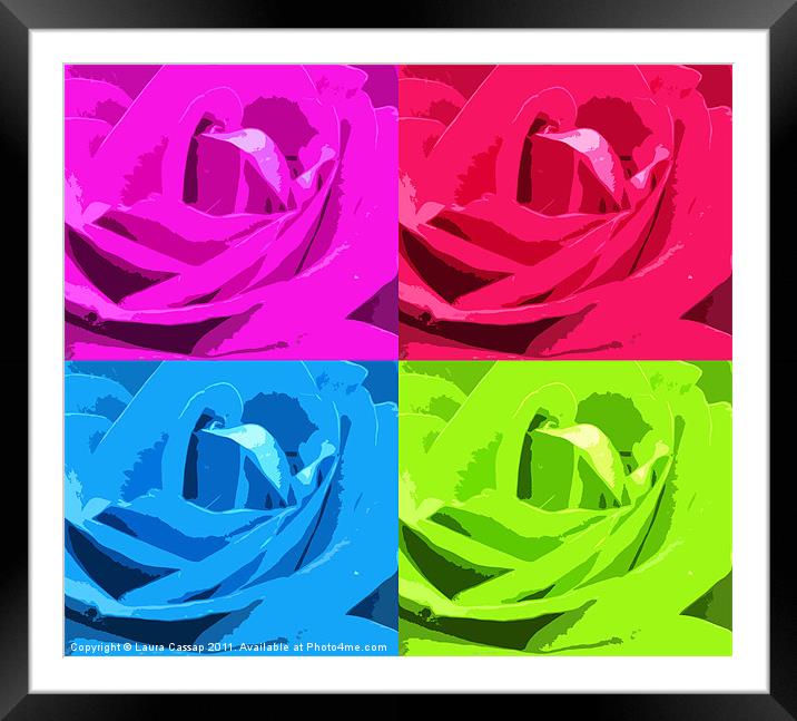 Colour of the Rose Framed Mounted Print by Laura Cassap