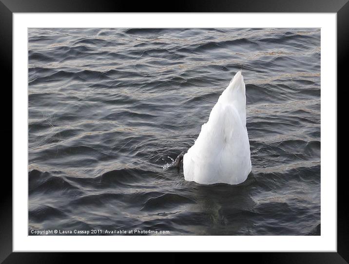 Duck? Framed Mounted Print by Laura Cassap