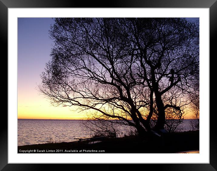 Sunset at Lomma, Sweden Framed Mounted Print by Sarah Osterman