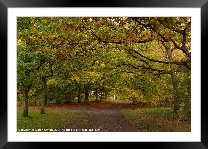 Walking the dog Framed Mounted Print by Sarah Osterman