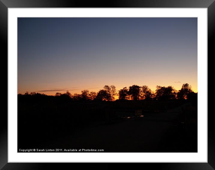 Sunset behind trees Framed Mounted Print by Sarah Osterman