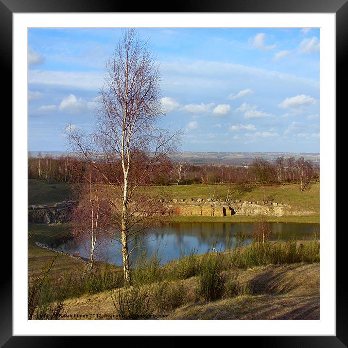 Birch by the Lake Framed Mounted Print by Sarah Osterman