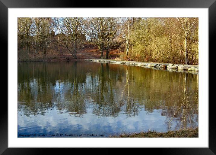 Forest Lake 1 Framed Mounted Print by Sarah Osterman