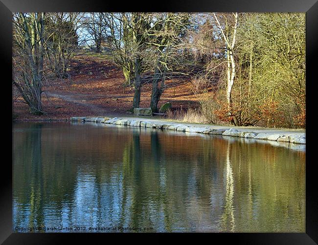 Forest Lake 2 Framed Print by Sarah Osterman