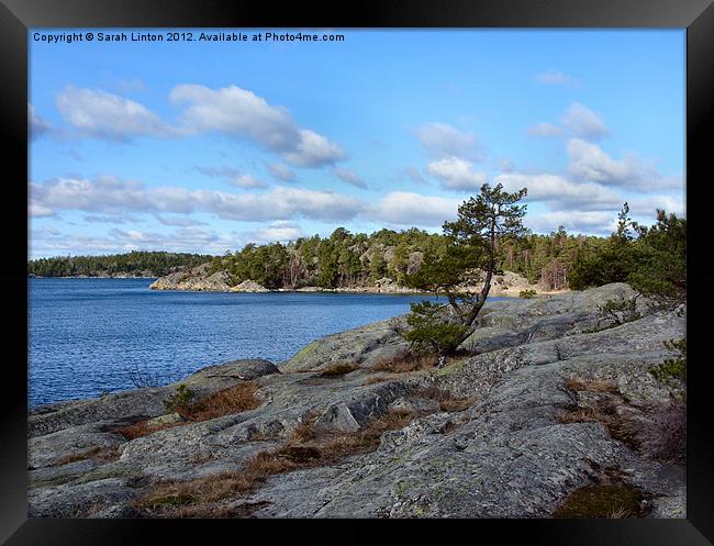 Ingarö Island 2 in colour Framed Print by Sarah Osterman