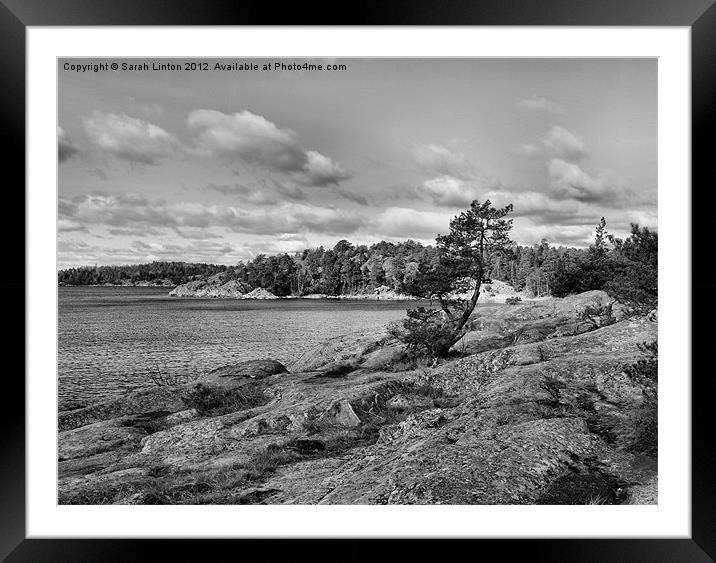 Ingarö Island 2 in monochrome Framed Mounted Print by Sarah Osterman