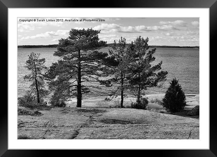 Ingarö Island 4 in monochrome Framed Mounted Print by Sarah Osterman