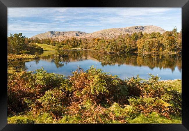 Tarn Howe Framed Print by david rodgers