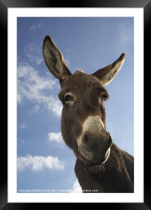 Are you looking at me? Framed Mounted Print by Matt Hardy