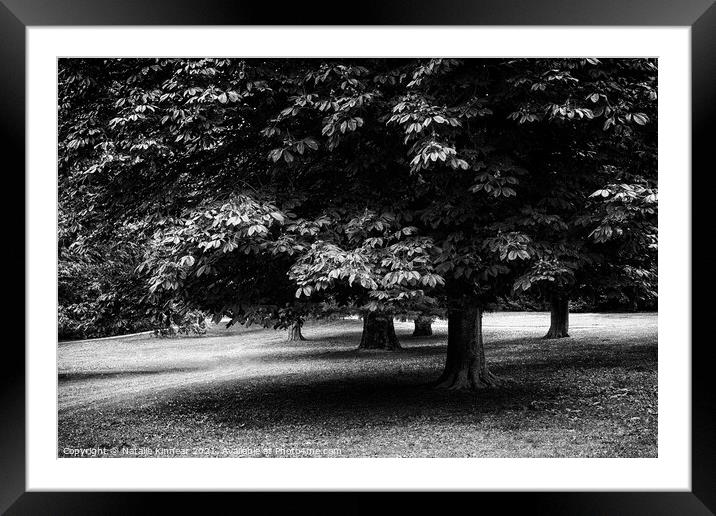 Trees in Black and White Framed Mounted Print by Natalie Kinnear