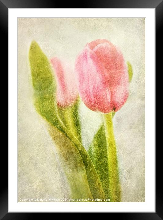 Textured Tulip Framed Mounted Print by Natalie Kinnear