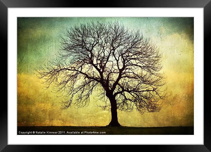 Digital Art Tree Silhouette Framed Mounted Print by Natalie Kinnear