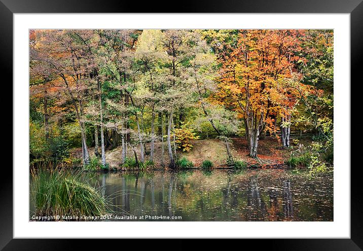Autumn Trees and Reflections Framed Mounted Print by Natalie Kinnear
