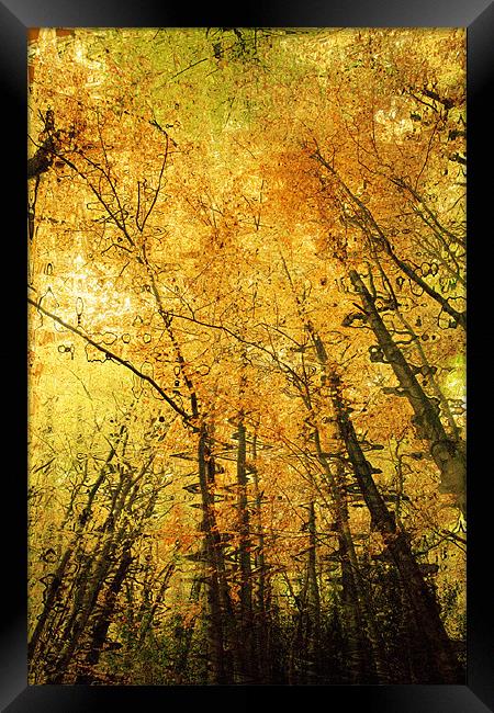 Autumn Colours Abstract IV Framed Print by Natalie Kinnear