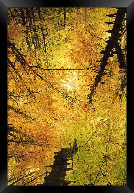 Autumn Colours Abstract III Framed Print by Natalie Kinnear