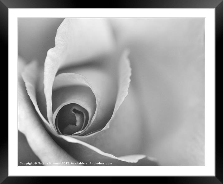 Romantic Black and White Floral Wall Art Framed Mounted Print by Natalie Kinnear
