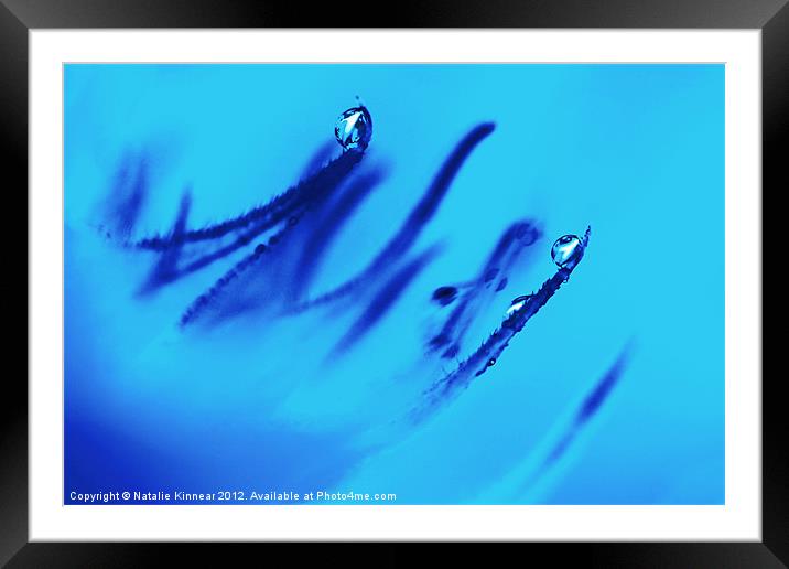 Water Droplets Abstract in Blue Framed Mounted Print by Natalie Kinnear