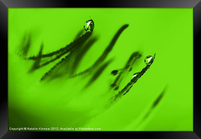 Water Droplets Abstract in Lime Green Framed Print by Natalie Kinnear