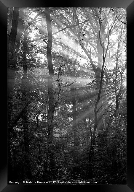 Sunrays Through the Trees in Black and White Framed Print by Natalie Kinnear