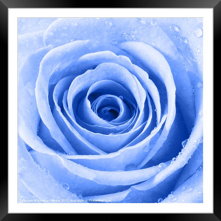 Blue Rose with Water Droplets Framed Mounted Print by Natalie Kinnear