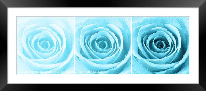 Turquoise Rose with Water Droplets Triptych Framed Mounted Print by Natalie Kinnear