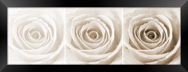 Sepia Rose with Water Droplets Triptych Framed Print by Natalie Kinnear