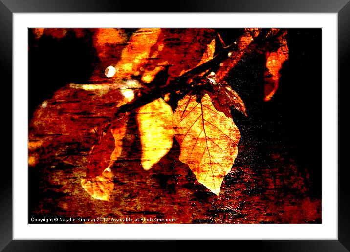 Leaf and Light Abstract Framed Mounted Print by Natalie Kinnear
