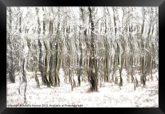 Trees in the Forest Abstract Framed Print by Natalie Kinnear