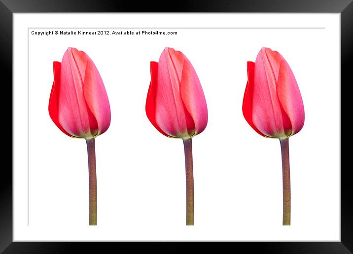 Three Red Tulips in a Row Framed Mounted Print by Natalie Kinnear