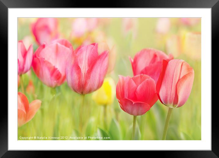 Artistic Tulips Framed Mounted Print by Natalie Kinnear