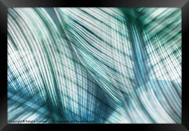 Nature Leaves Abstract in Turquoise and Jade Framed Print by Natalie Kinnear