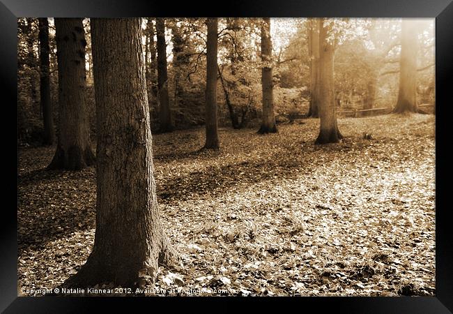 Leafy Autumn Woodland in Sepia Framed Print by Natalie Kinnear