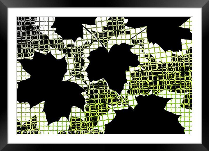 Abstract Leaf Pattern - Black White Lime Green Framed Mounted Print by Natalie Kinnear