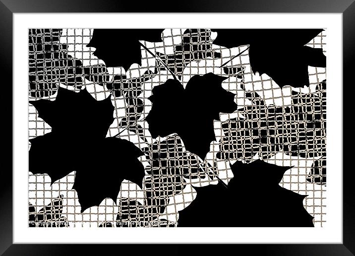 Abstract Leaf Pattern - Black White Sepia Framed Mounted Print by Natalie Kinnear